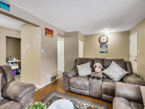 347 Northgate Terrace Nw, Edmonton, AB - Indoor Photo Showing Living Room