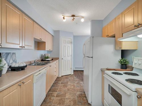 211 10403 98 Avenue, Edmonton, AB - Indoor Photo Showing Kitchen With Double Sink