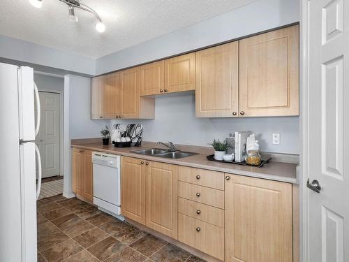 211 10403 98 Avenue, Edmonton, AB - Indoor Photo Showing Kitchen With Double Sink