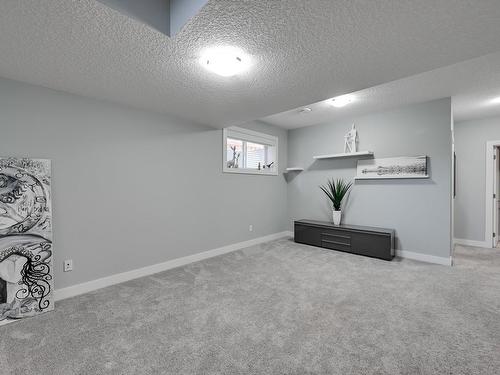 1311 Hainstock Way, Edmonton, AB - Indoor