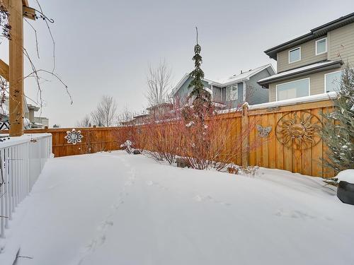 1311 Hainstock Way, Edmonton, AB - Outdoor