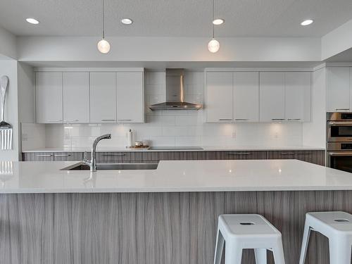 1311 Hainstock Way, Edmonton, AB - Indoor Photo Showing Kitchen With Double Sink With Upgraded Kitchen