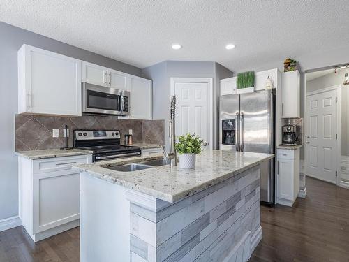 1108 162 Street, Edmonton, AB - Indoor Photo Showing Kitchen With Double Sink With Upgraded Kitchen