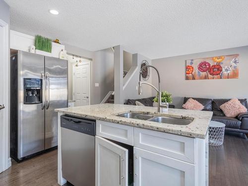 1108 162 Street, Edmonton, AB - Indoor Photo Showing Kitchen With Double Sink