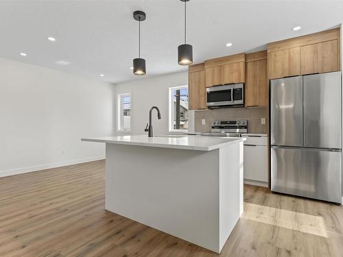 10603 81 Street, Edmonton, AB - Indoor Photo Showing Kitchen With Stainless Steel Kitchen With Upgraded Kitchen