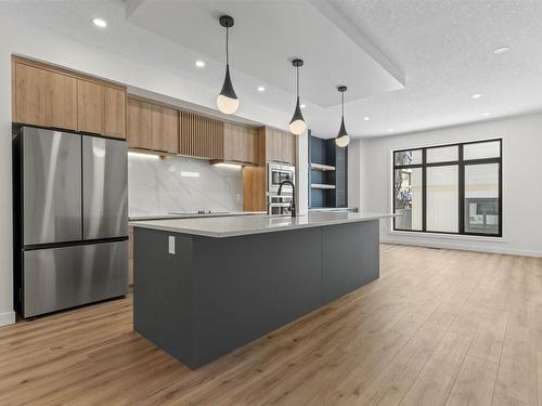 10603 81 Street, Edmonton, AB - Indoor Photo Showing Kitchen With Stainless Steel Kitchen With Upgraded Kitchen