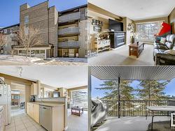 211 17003 67 Avenue  Edmonton, AB T5T 6Y5