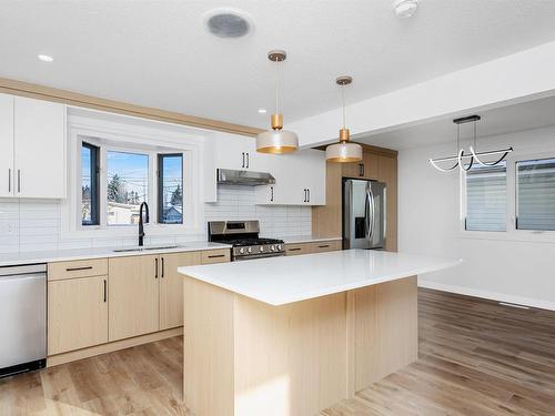 11332 57 Avenue, Edmonton, AB - Indoor Photo Showing Kitchen With Upgraded Kitchen