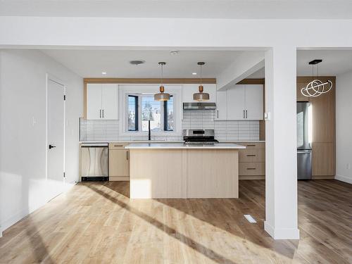 11332 57 Avenue, Edmonton, AB - Indoor Photo Showing Kitchen With Upgraded Kitchen