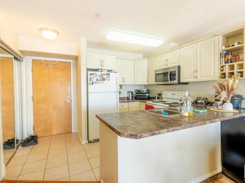 316 17404 64 Avenue Nw, Edmonton, AB - Indoor Photo Showing Kitchen With Double Sink