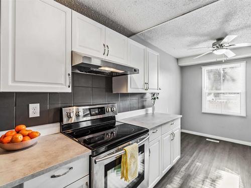 3 Willowdale Place, Edmonton, AB - Indoor Photo Showing Kitchen