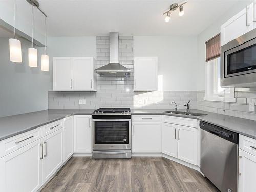 1435 167 Street, Edmonton, AB - Indoor Photo Showing Kitchen With Double Sink