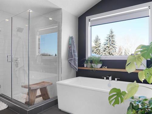 17531 53 Avenue, Edmonton, AB - Indoor Photo Showing Bathroom