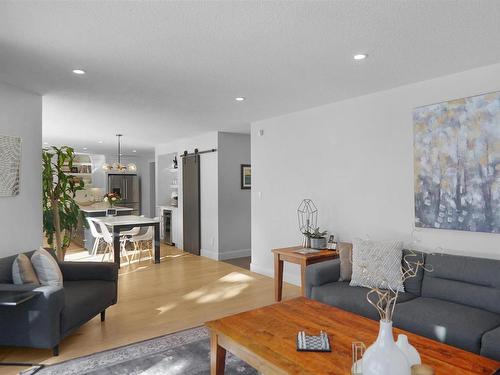 17531 53 Avenue, Edmonton, AB - Indoor Photo Showing Living Room