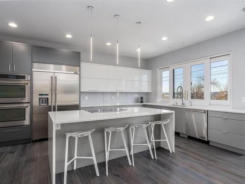 9509 99B Street, Edmonton, AB - Indoor Photo Showing Kitchen With Upgraded Kitchen