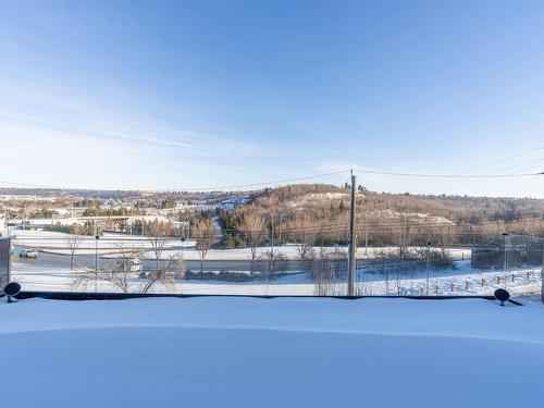 9509 99B Street, Edmonton, AB - Outdoor With View