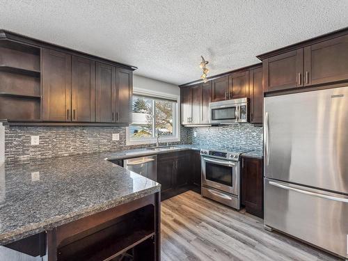 10319 172 Avenue Nw, Edmonton, AB - Indoor Photo Showing Kitchen With Double Sink With Upgraded Kitchen