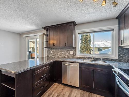 10319 172 Avenue Nw, Edmonton, AB - Indoor Photo Showing Kitchen With Double Sink With Upgraded Kitchen