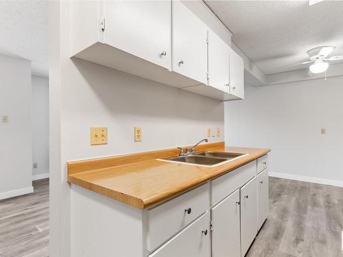 8439 29 Avenue, Edmonton, AB - Indoor Photo Showing Kitchen With Double Sink