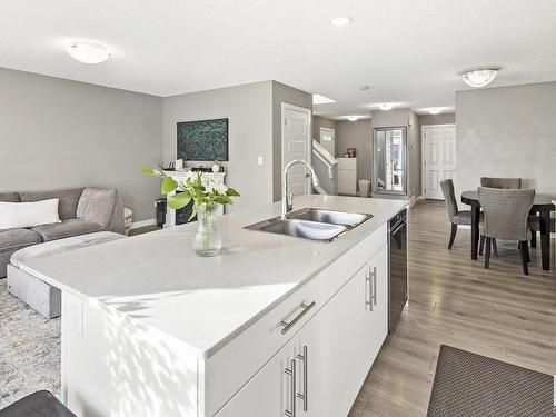 840 Ebbers Crescent, Edmonton, AB - Indoor Photo Showing Kitchen With Double Sink