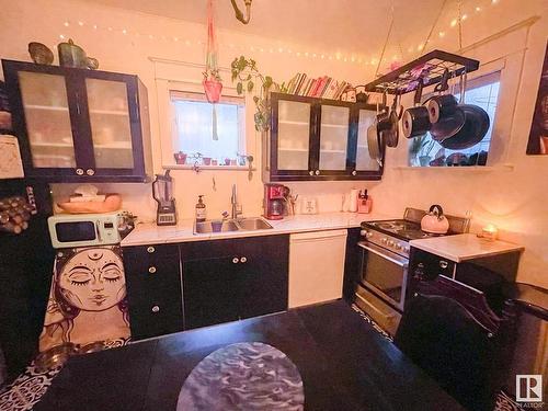 12126 94 Street, Edmonton, AB - Indoor Photo Showing Kitchen With Double Sink