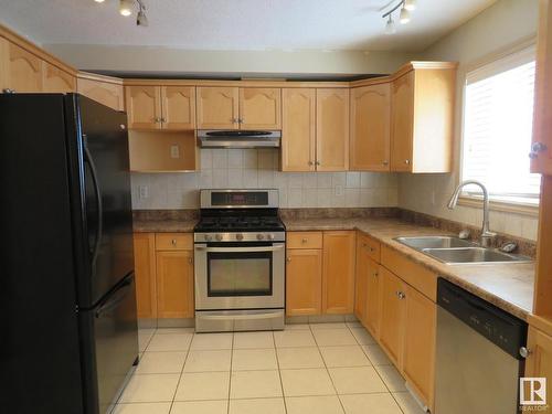 10338 161 Street, Edmonton, AB - Indoor Photo Showing Kitchen With Double Sink