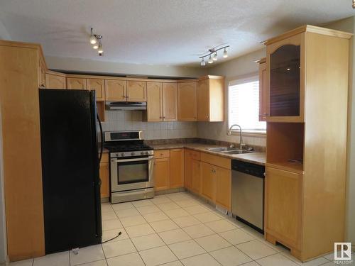 10338 161 Street, Edmonton, AB - Indoor Photo Showing Kitchen With Double Sink