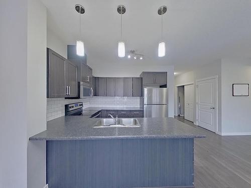 214 812 Welsh Drive, Edmonton, AB - Indoor Photo Showing Kitchen With Double Sink With Upgraded Kitchen