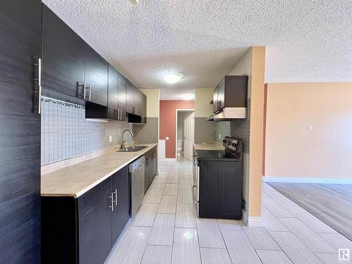 302 10615 110 Street, Edmonton, AB - Indoor Photo Showing Kitchen With Double Sink