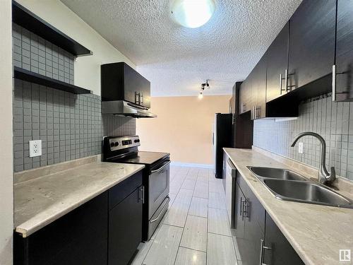 302 10615 110 Street, Edmonton, AB - Indoor Photo Showing Kitchen With Double Sink