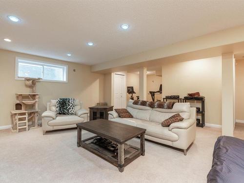 446 Sparling Court, Edmonton, AB - Indoor Photo Showing Basement