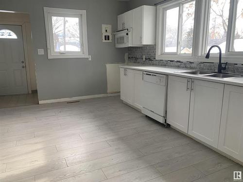 11939 63 Street, Edmonton, AB - Indoor Photo Showing Kitchen With Double Sink