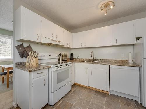 13413 43 Street, Edmonton, AB - Indoor Photo Showing Kitchen