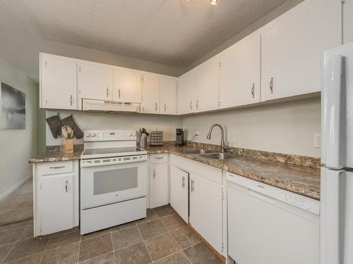 13413 43 Street, Edmonton, AB - Indoor Photo Showing Kitchen With Double Sink