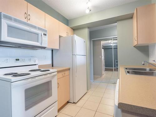 101 17011 67 Avenue, Edmonton, AB - Indoor Photo Showing Kitchen With Double Sink