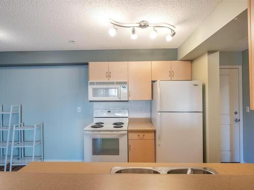 101 17011 67 Avenue, Edmonton, AB - Indoor Photo Showing Kitchen