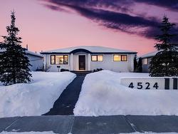 4524 109A Avenue  Edmonton, AB T6A 1S4