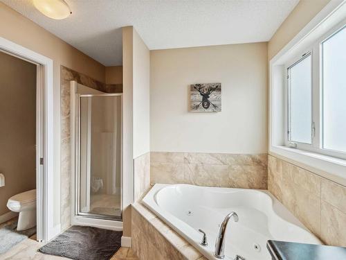 16724 60 Street, Edmonton, AB - Indoor Photo Showing Bathroom