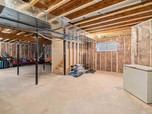 16724 60 Street, Edmonton, AB - Indoor Photo Showing Basement