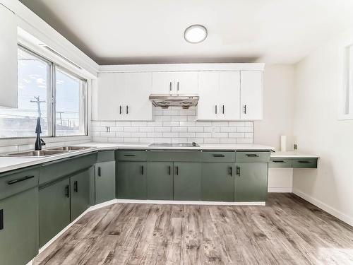 13319 81 Street, Edmonton, AB - Indoor Photo Showing Kitchen With Double Sink