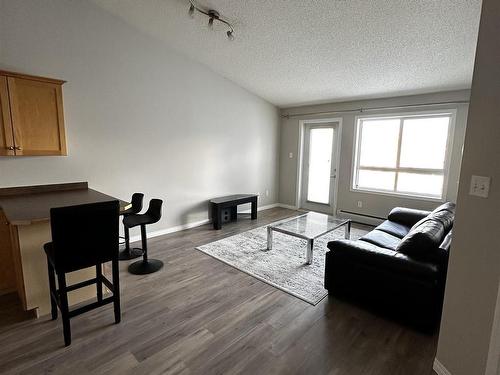 428 5340 199 Street, Edmonton, AB - Indoor Photo Showing Living Room