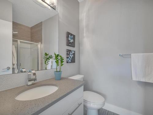 3163 Cameron Heights Way, Edmonton, AB - Indoor Photo Showing Bathroom