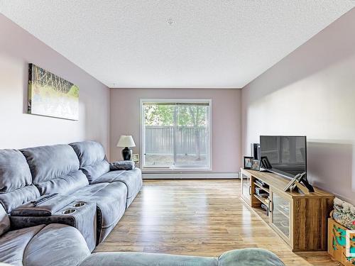 128 1180 Hyndman Road, Edmonton, AB - Indoor Photo Showing Living Room