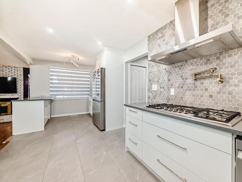 16104 100 Street, Edmonton, AB - Indoor Photo Showing Kitchen With Upgraded Kitchen