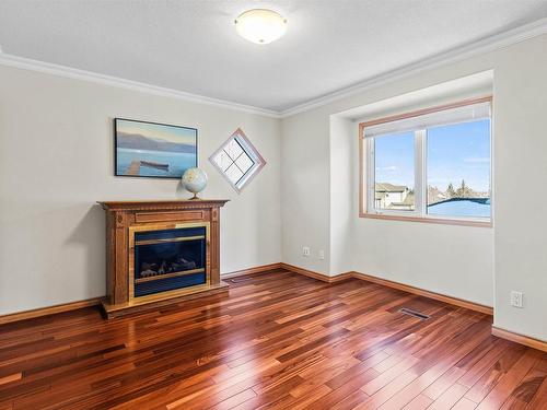 1061 Tory Road, Edmonton, AB - Indoor Photo Showing Living Room With Fireplace