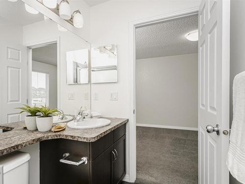 16421 134 Street, Edmonton, AB - Indoor Photo Showing Bathroom