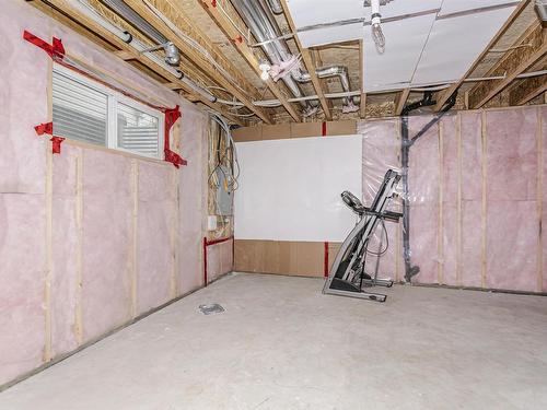 16421 134 Street, Edmonton, AB - Indoor Photo Showing Basement