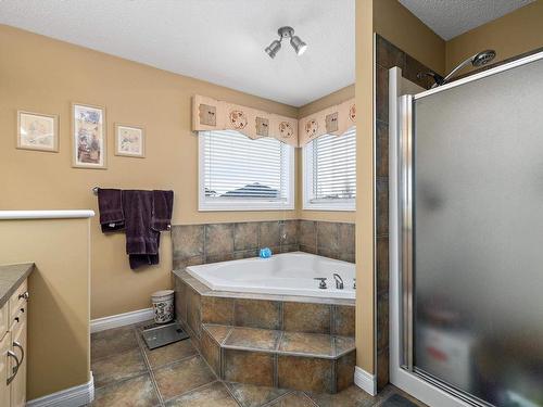 356 Calderon Crescent, Edmonton, AB - Indoor Photo Showing Bathroom