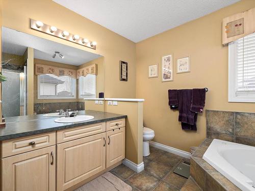 356 Calderon Crescent, Edmonton, AB - Indoor Photo Showing Bathroom