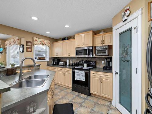 356 Calderon Crescent, Edmonton, AB - Indoor Photo Showing Kitchen With Double Sink